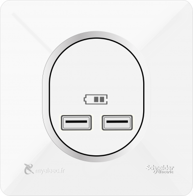 Schneider Ovalis NEW- Double chargeur USB A+A.png